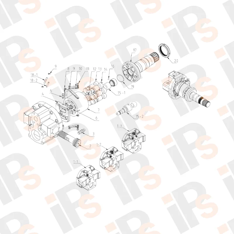 HPV116 145